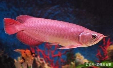 一方水族官網(wǎng)(水一方公司)