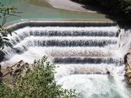 龍魚批發(fā)基地地址在哪里（龍魚批發(fā)基地地址在哪里）