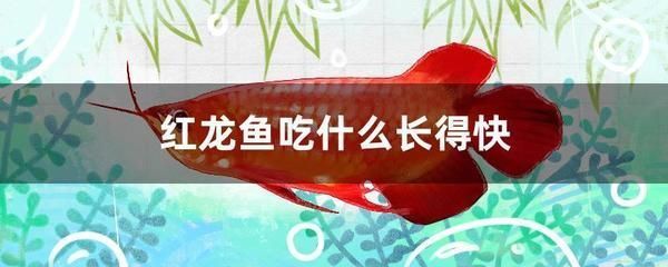 圓柱形魚缸圖片大全圖集（圓柱形魚缸圖片大全圖集高清）