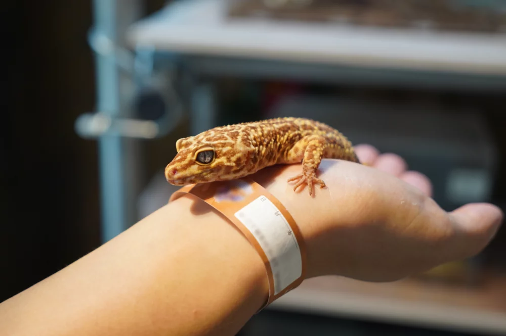 商場裡最該淘汰的項目，我提名“室内動物園”