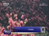 热线12 《热线12》 20180430