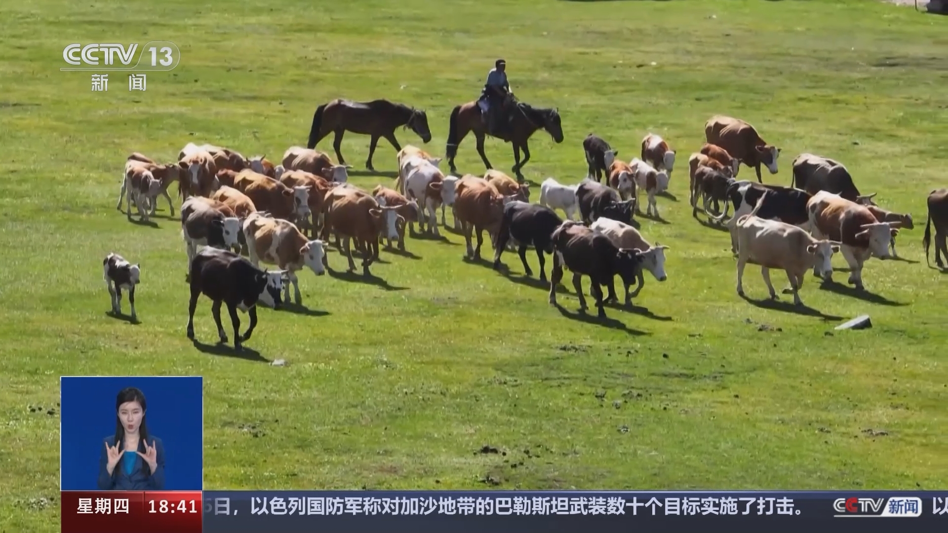 共同关注 《共同关注》 20240627