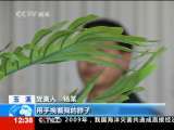法治在线 法治在线 2010-01-27