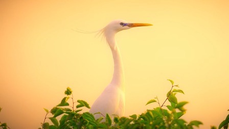 候鸟的旅行箱 小满