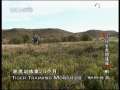 动物世界 动物世界 2009年 第189期