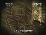 地理中国 《地理中国》 20131018 怪洞迷踪 解密风洞