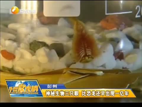 华夏夜表情 《华夏夜表情》 20150603