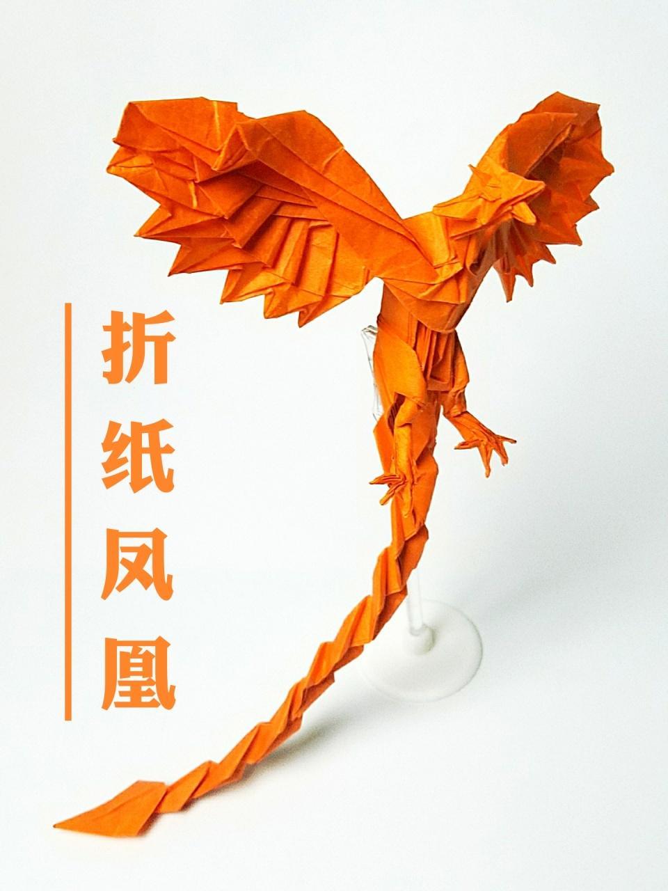 折纸王子教你折纸神谷哲史凤凰