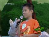 绿野寻踪 聪明的灵长类动物