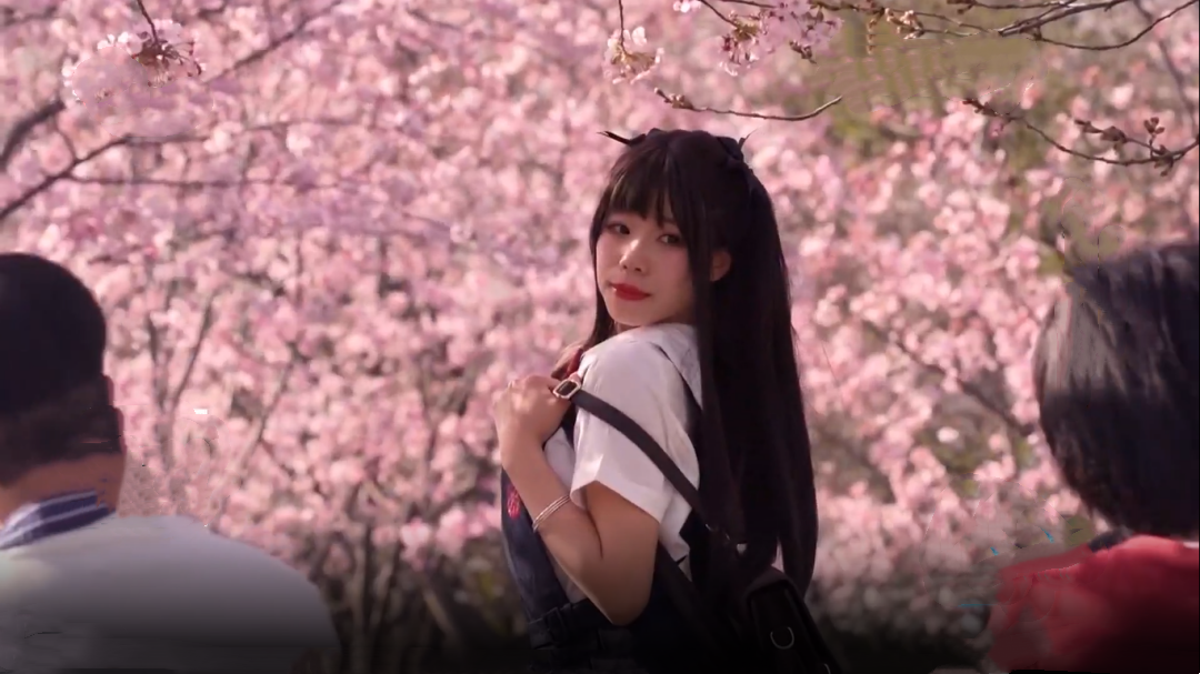 星&middot;旅途 赏花地图·武汉
