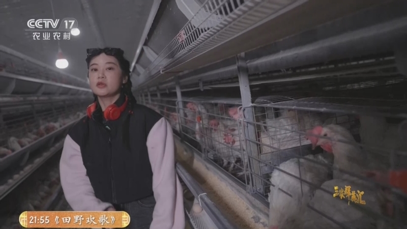 三农群英汇 《三农群英汇》 20260425 海归夫妻的科技农场