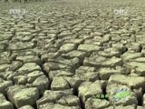 人与自然 《人与自然》 20150519 自然发现 南美野生世界——巴西大草原（上）