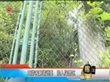 新闻延长线 《新闻延长线》 20170613