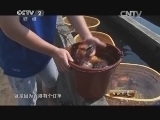 生财有道 《生财有道》 20140924 乡愁带来的财富