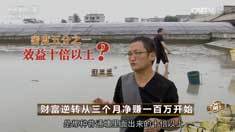 致富经 [致富经]财富逆转从三个月净赚一百万开始 20161123
