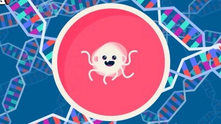 报信儿 一口唾液就能检测DNA？基因检测真的靠谱吗？