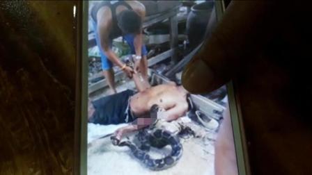 大爷跟蟒蛇打架被卷死 死者姐姐亲眼目睹