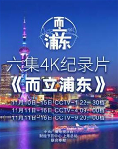 而立浦东 海报