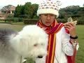 狗狗周记第一季 狗狗週記 第一季40