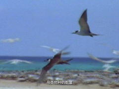 恐龙王朝（Dinosaur Revolution）第1集