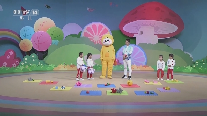 小小智慧树 《小小智慧树》 20230519