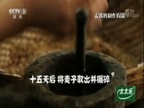 回家，吃饭 《回家吃饭》 20170926 百里杜鹃宫保肉 彝家风味鱼