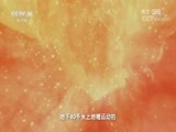 地理中国 《地理中国》 20180828 寻奇天下·高原崛起（下）