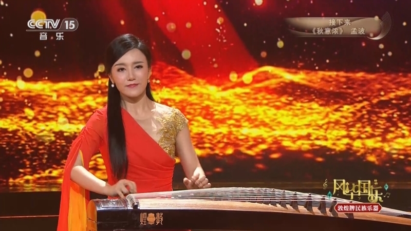 风华国乐 《风华国乐》 20250514
