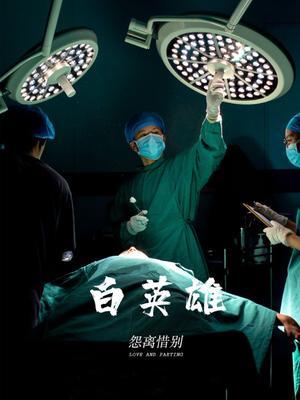 白英雄 海报