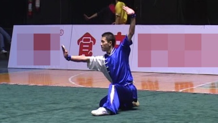 尘封赛事 2005年全国武术套路冠军赛传统项目比赛 男子拳术 040