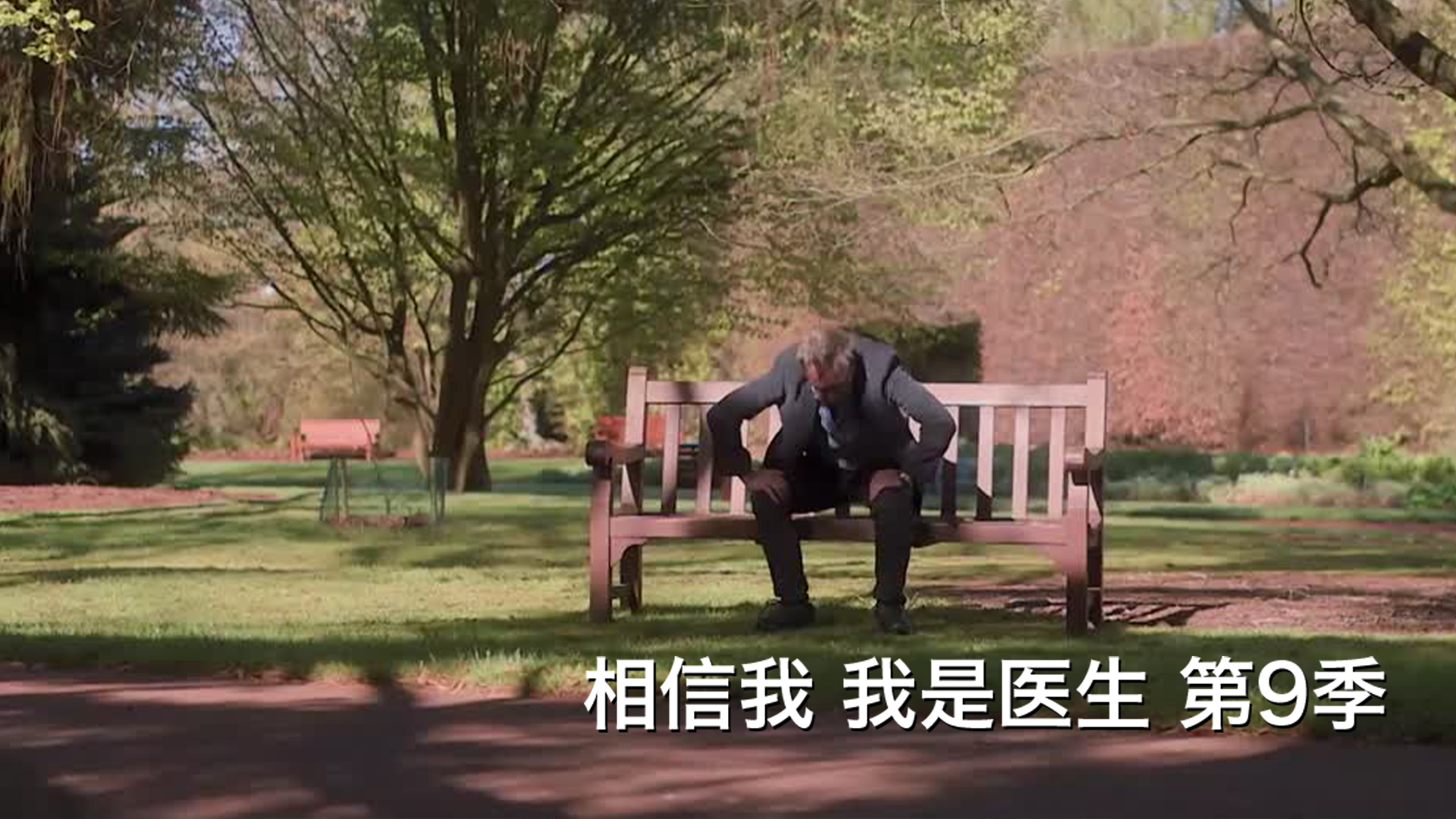 相信我我是医生第9季