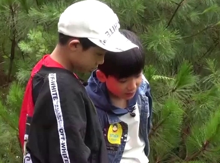 深山刺客