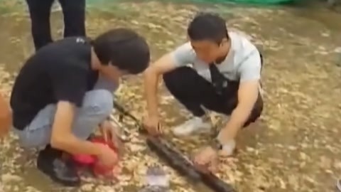 法治中国60分 网购枪支弹药民警千里追缉 女子刷单挣钱反被骗