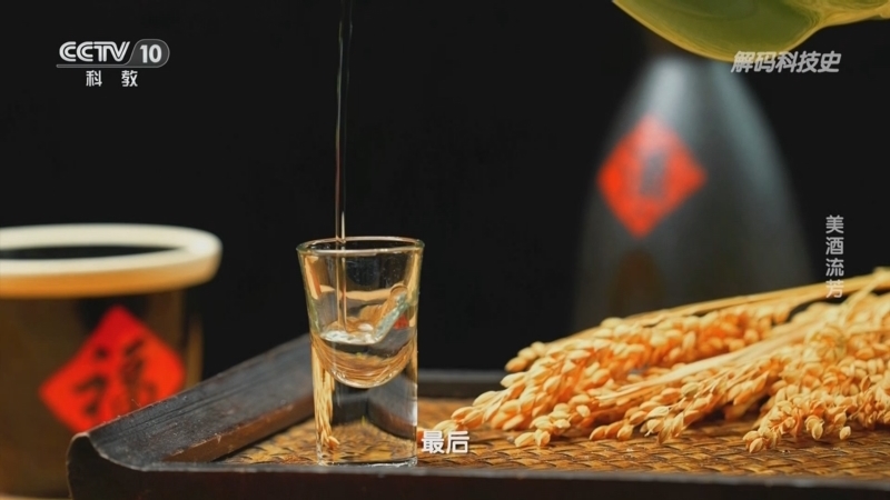 解码科技史 《解码科技史》 20240219 美酒流芳