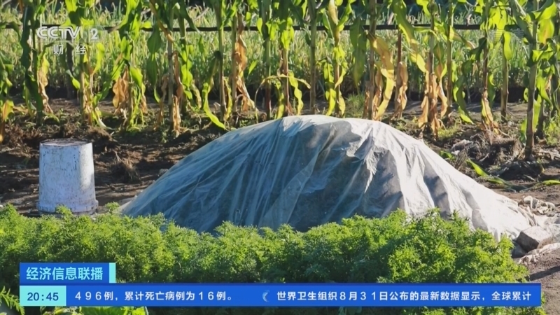 经济信息联播 《经济信息联播》 20220901