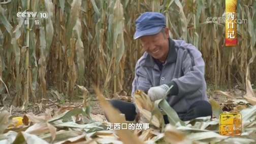 中国影像方志 《中国影像方志》 第333集 内蒙古准格尔旗篇