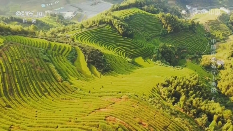 地理中国 《地理·中国》 20260708 中国风景名片——梯田5