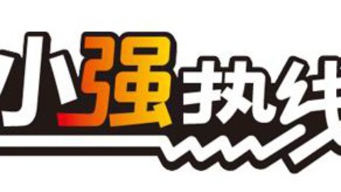 小强热线 小强热线20141216