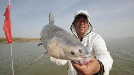 第52集 再战白荡湖