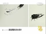 文化十分 《文化十分》 20161123