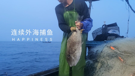 南澳岛赶海日记 渔船在外海是这样捕鱼的，潮水不对半夜两点都要起来收网，虽然辛苦还好收获不错