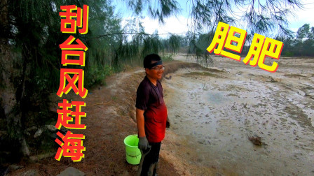 思乡渔夫 渔夫赶海真拼命，台风刚过就下海，收获很好结局却很惨