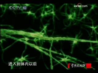 走近科学 被药物控制的人（下）