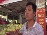 消费主张 《消费主张》 20171010 丰收的果园（二）：海南海口