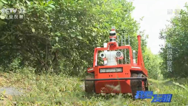 我爱发明 《我爱发明》 20200208 果园侦察兵