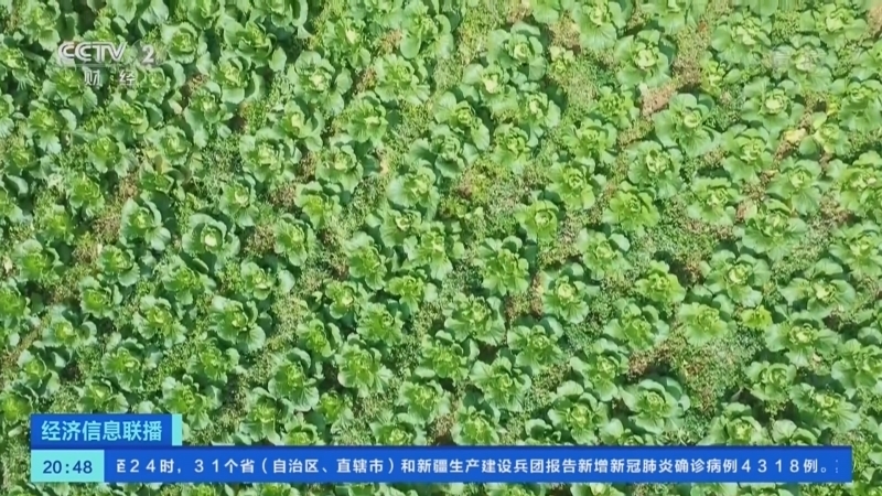 经济信息联播 《经济信息联播》 20221205