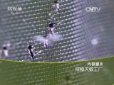 走近科学 《走近科学》 20150820 探秘灭蚊工厂