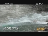 远方的家 江河万里行 第101集 岷江 山水长廊 百里画卷20140917《远方的家》