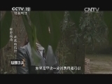 心理访谈 《心理访谈》 20150109 解密骗局·收藏的陷阱