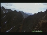 人与自然 《人与自然》 20130612 自然故事——棕熊之王（下）